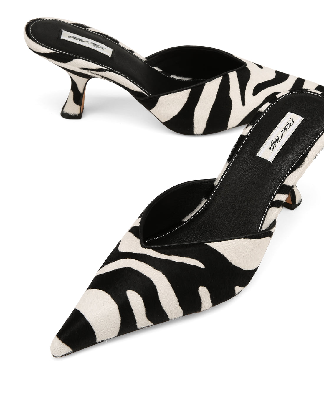 Hagen Zebra Pony