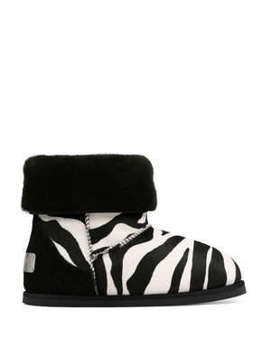Honour Zebra