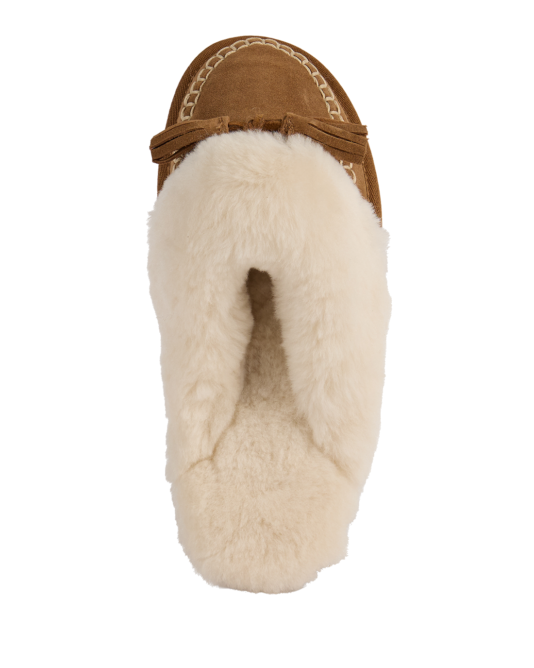Tahnee Chestnut W13373